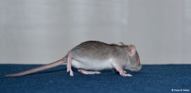 DSC_0326~10.jpg