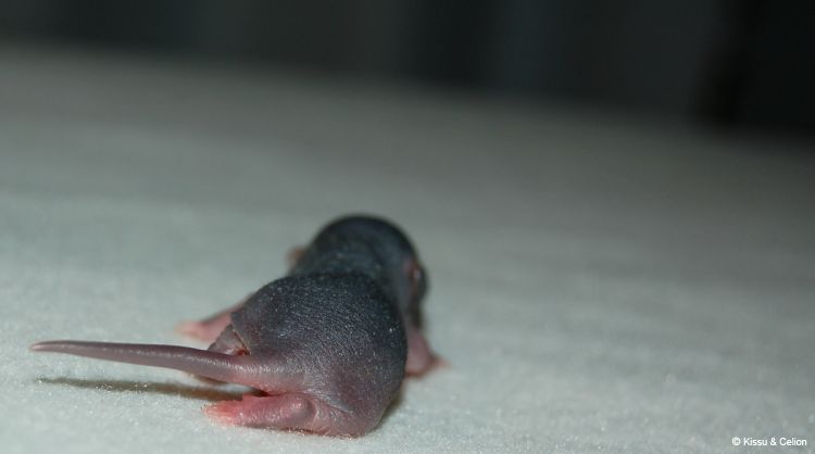 DSC_0341~3.jpg