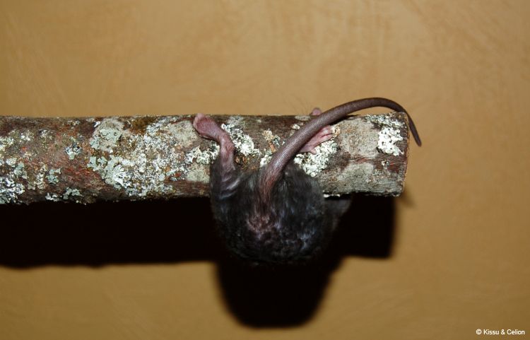 DSC_0348~3.jpg