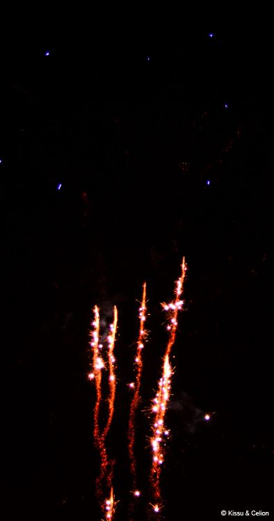 DSC_0350~5.jpg