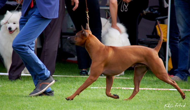 DSC_0351~9.jpg