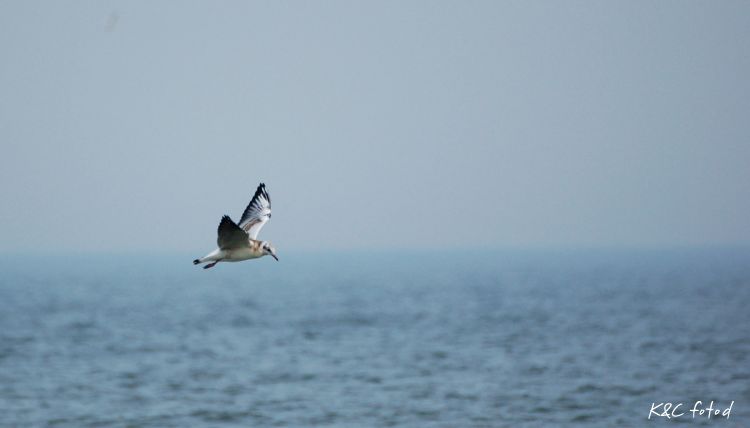 DSC_0354~6.jpg