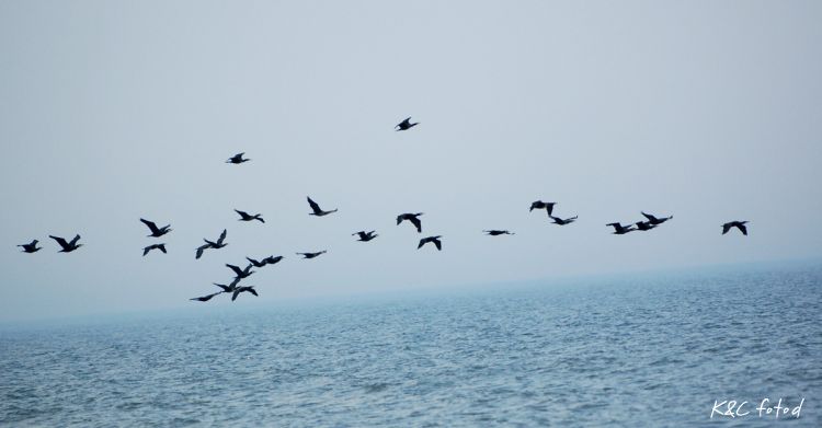 DSC_0372~16.jpg