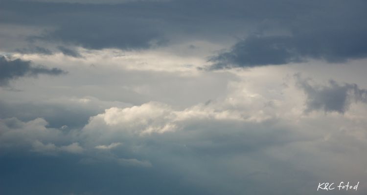 DSC_0399~4.jpg