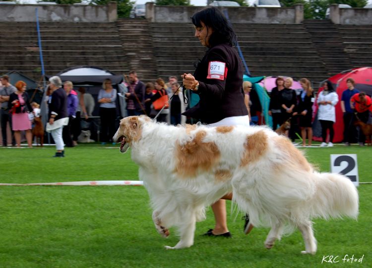 DSC_0414~10.jpg