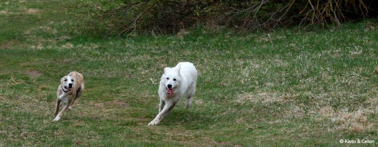 DSC_0414~9.jpg