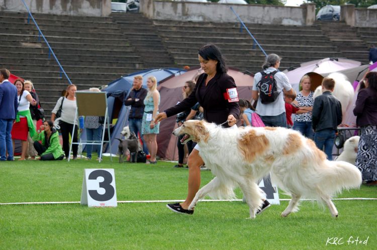 DSC_0419~3.jpg