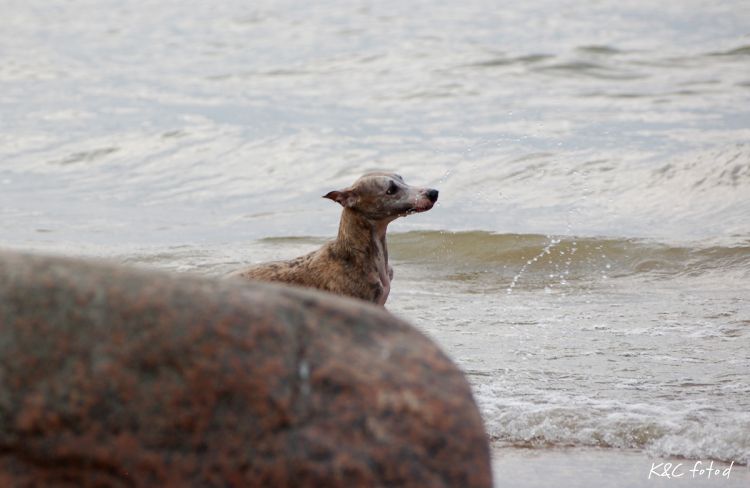DSC_0445~5.jpg