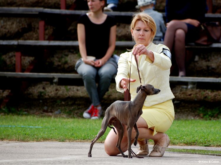 DSC_0472~2.jpg