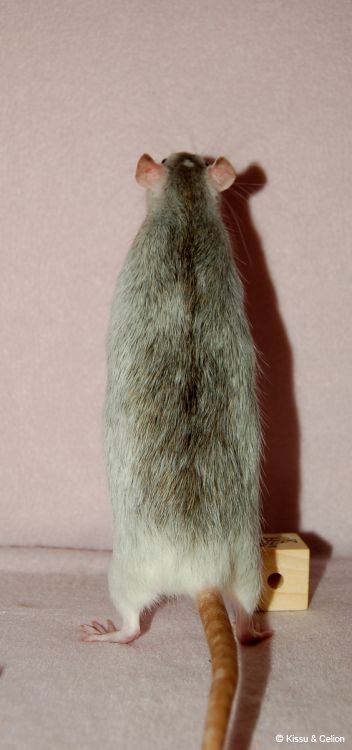 DSC_0475.jpg