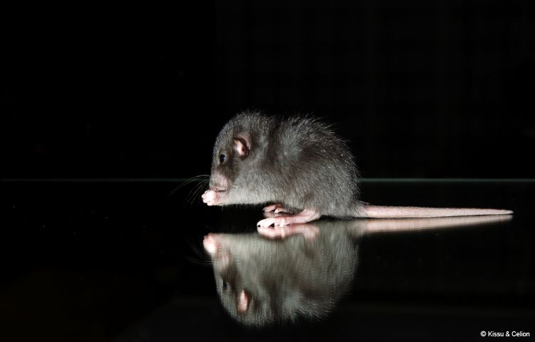 DSC_0497~0.jpg