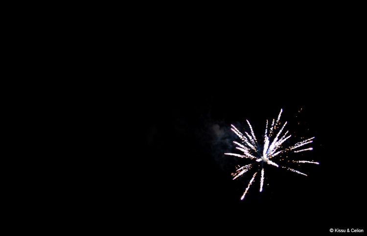 DSC_0500~0.jpg