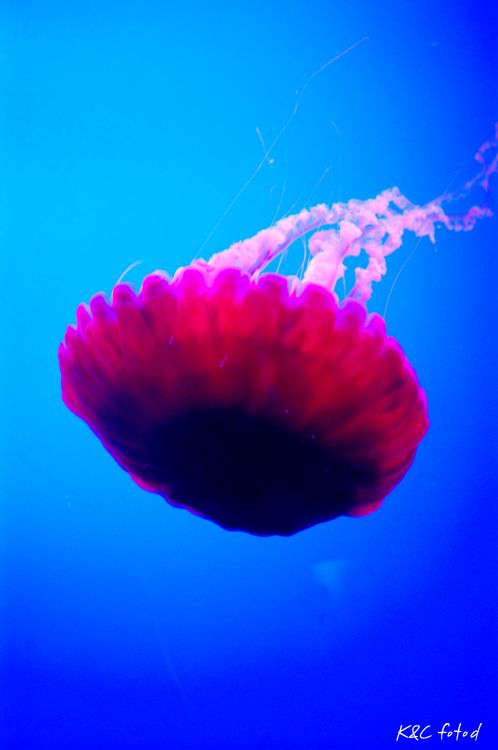 DSC_0531~0.jpg