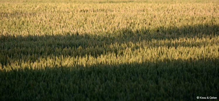 DSC_0550~0.jpg