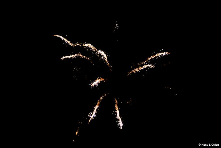DSC_0558.jpg