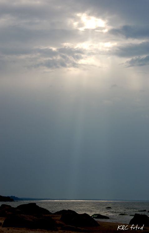 DSC_0571.jpg