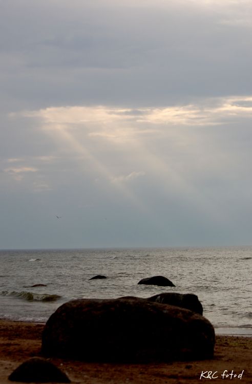 DSC_0576.jpg