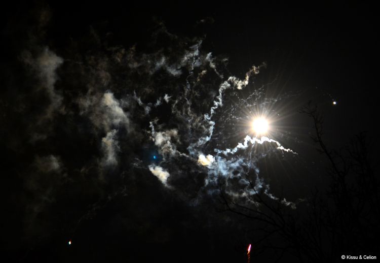 DSC_0620~0.jpg