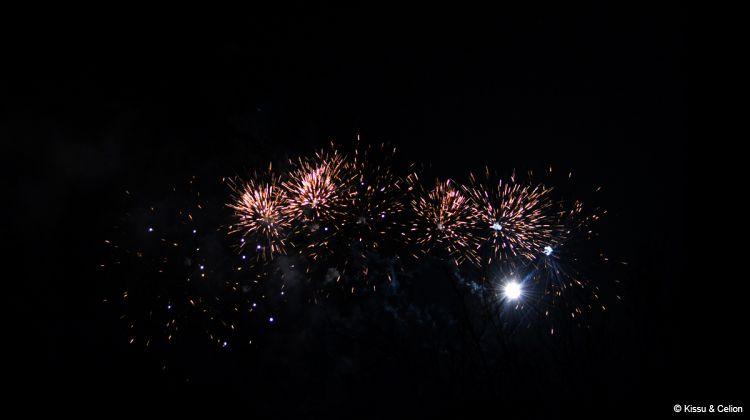 DSC_0696.jpg