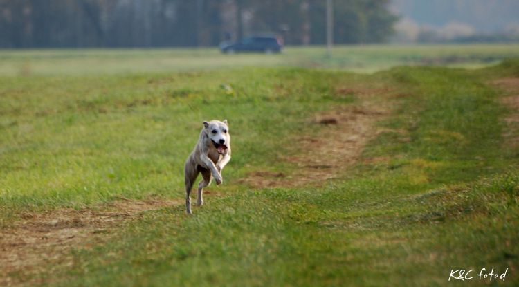 DSC_0698.jpg