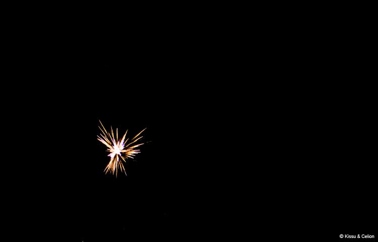 DSC_0776.jpg