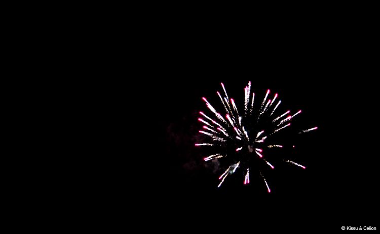 DSC_0794.jpg