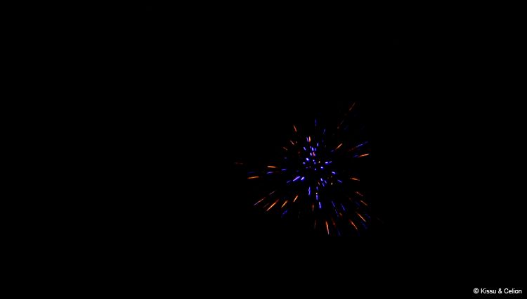 DSC_0799.jpg