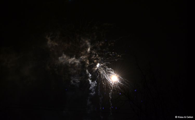 DSC_0803.jpg