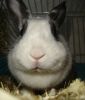 DSC02533.jpg