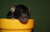 DSC_0003~15.jpg