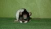 DSC_0005~8.jpg