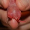 DSC_0006~17.jpg