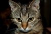DSC_0008~10.jpg