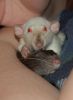DSC_0012.jpg