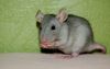 DSC_0013~15.jpg