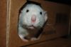 DSC_0014~2.jpg