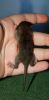 DSC_0014~7.jpg