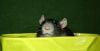 DSC_0015~11.jpg