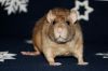 DSC_0016~16.jpg