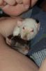 DSC_0016~2.jpg