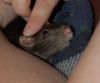DSC_0017.jpg