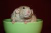 DSC_0017~2.jpg