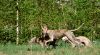 DSC_0018~17.jpg