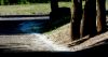 DSC_0018~2.jpg