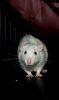 DSC_0018~4.jpg