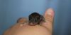 DSC_0019~10.jpg