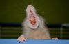 DSC_0024~12.jpg
