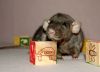 DSC_0024~6.jpg