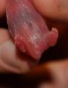 DSC_0025~15.jpg