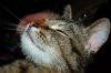 DSC_0026~5.jpg